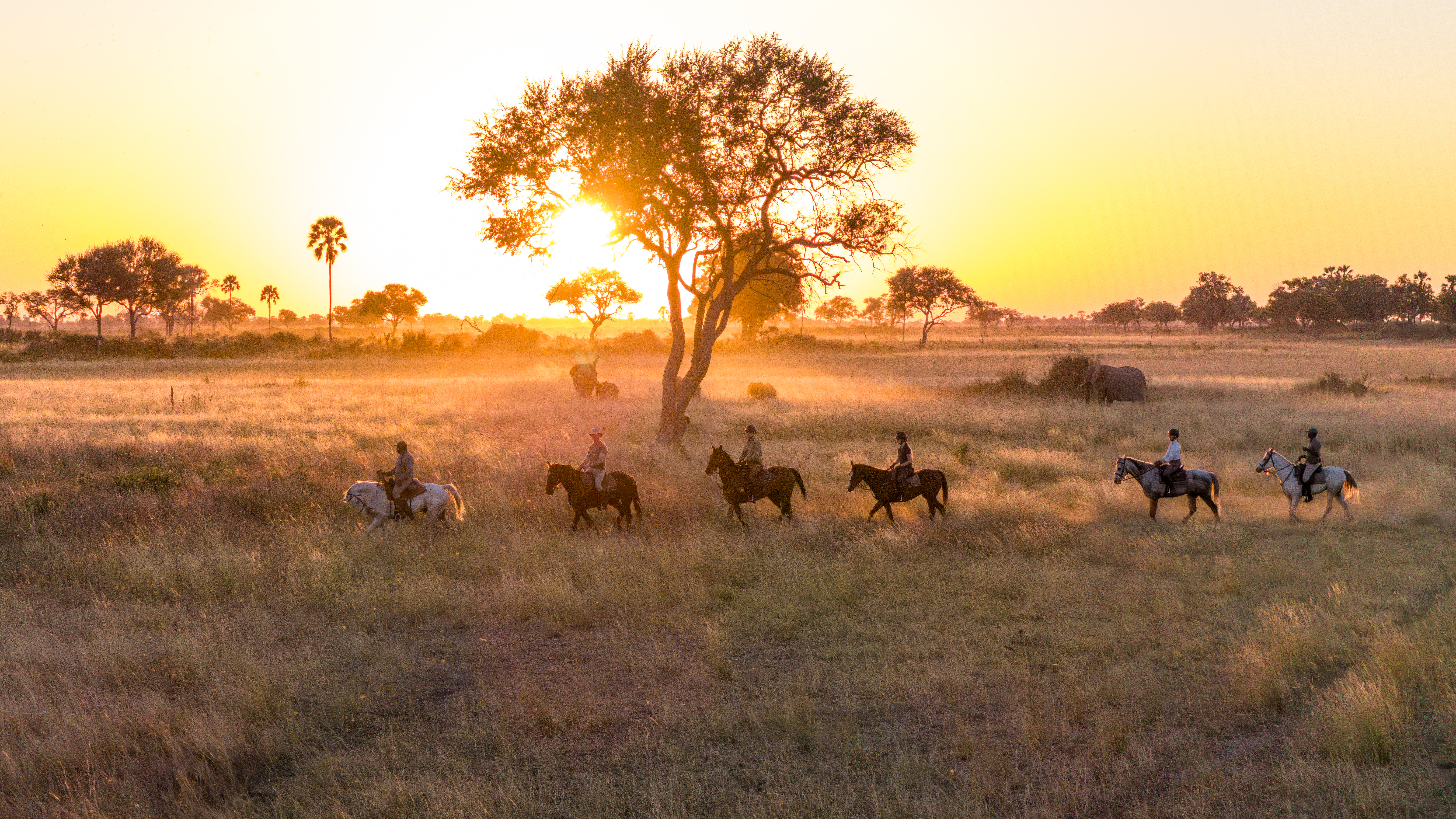 Horseback safari in the Okavango Delta, Botswana