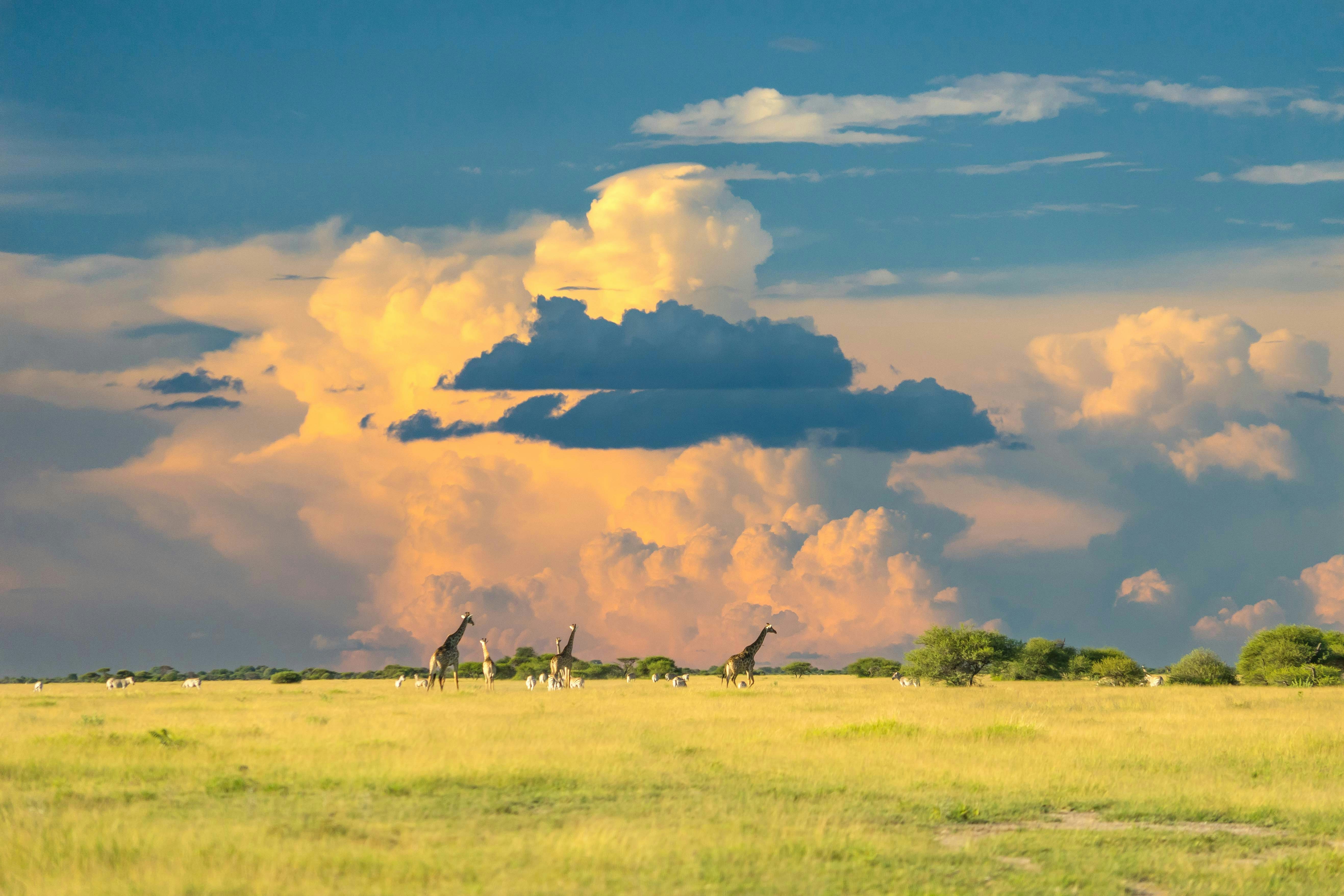 Makgadikgadi salt pans, Botswana