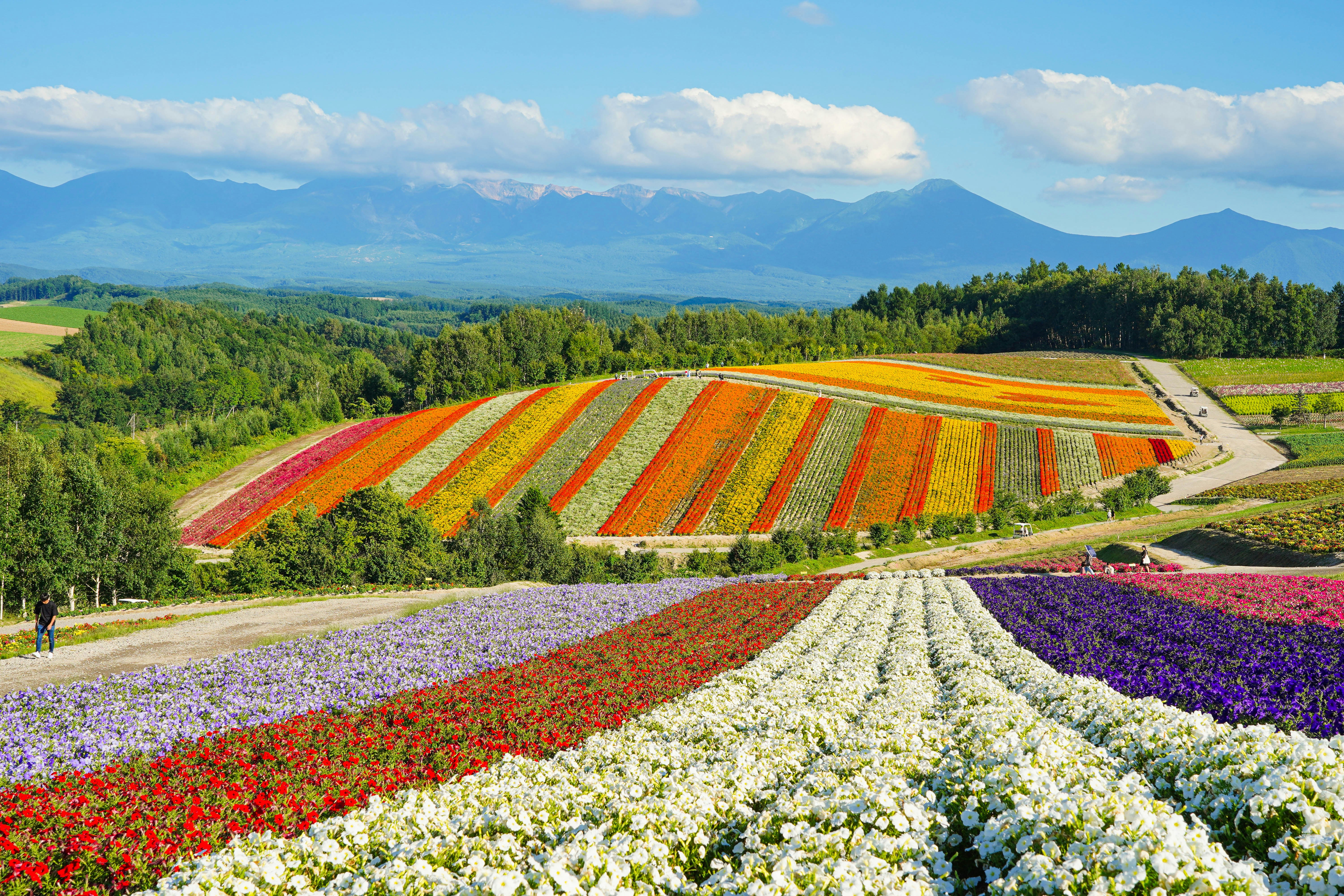 Hokkaido winter landscape, Japan