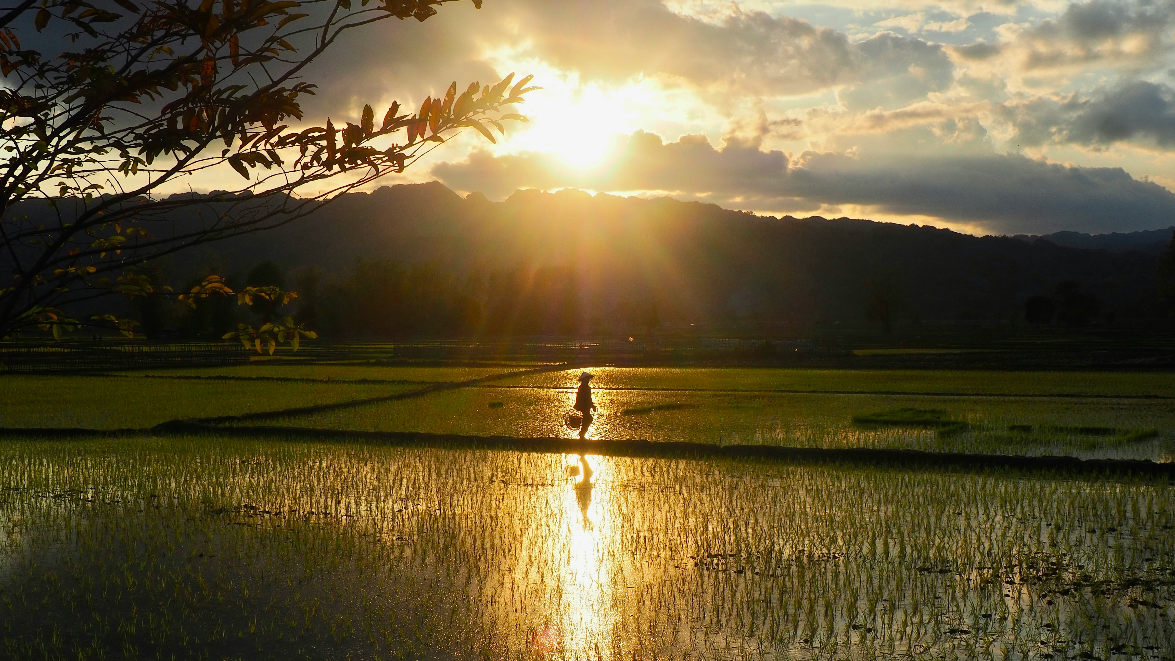 Temples and landscape, South East Asia