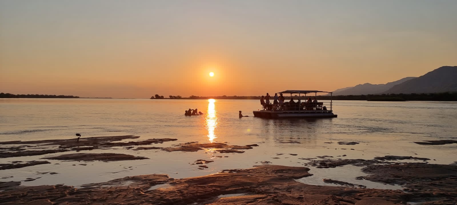 Tiger fishing the Lower Zambezi River
