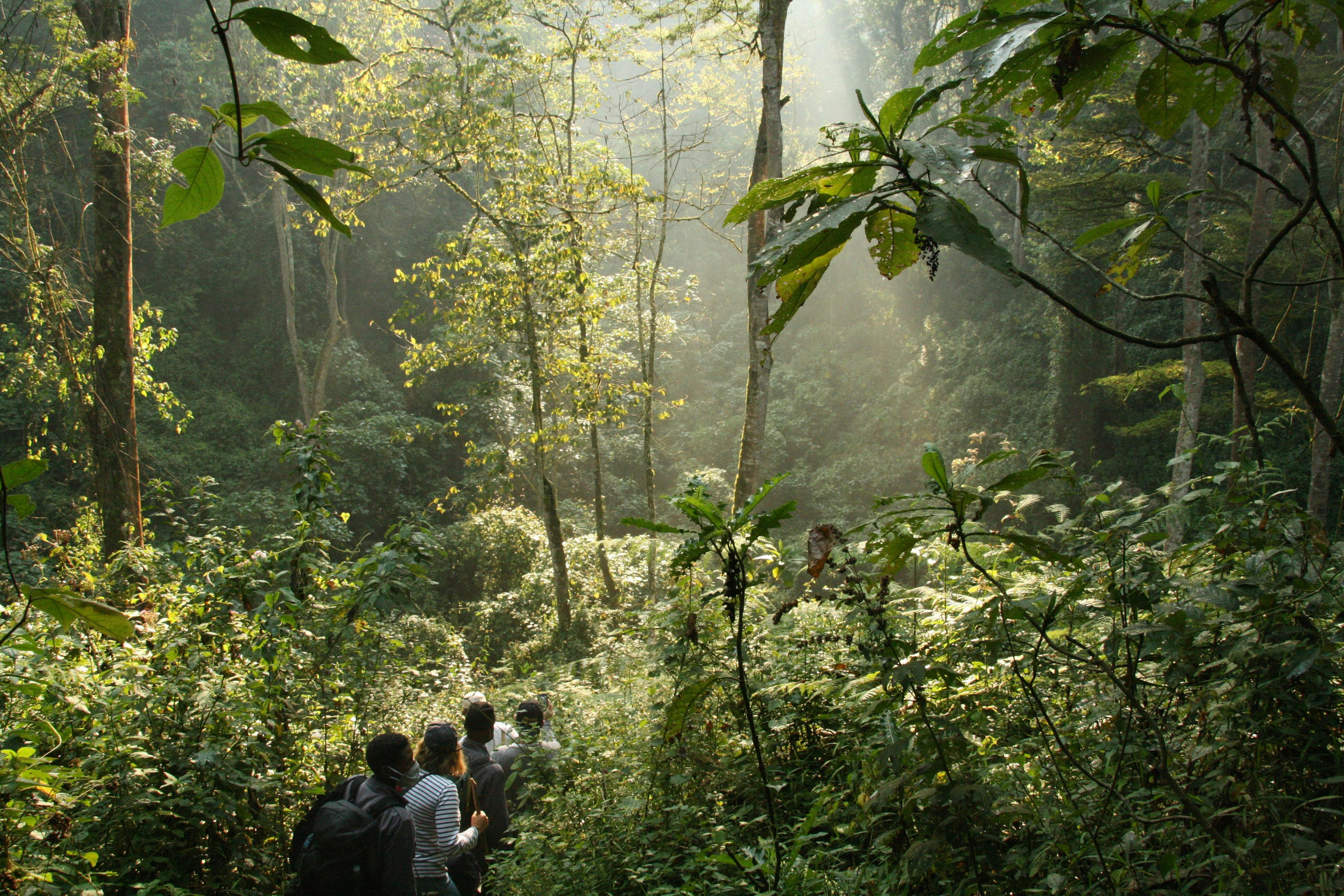 Kidepo Valley wilderness, Uganda